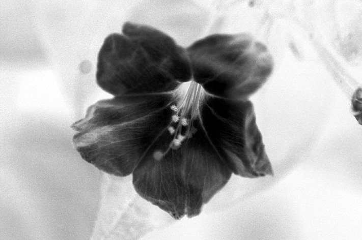 Embedded figure page 14