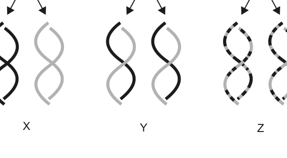 Figure region page 5