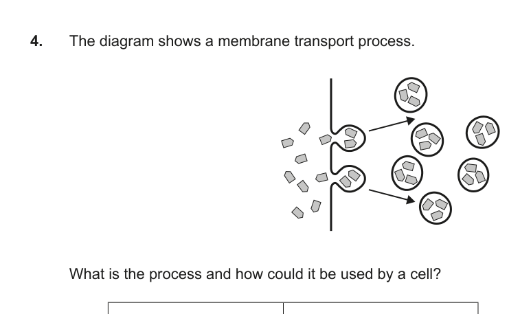 Figure region page 4