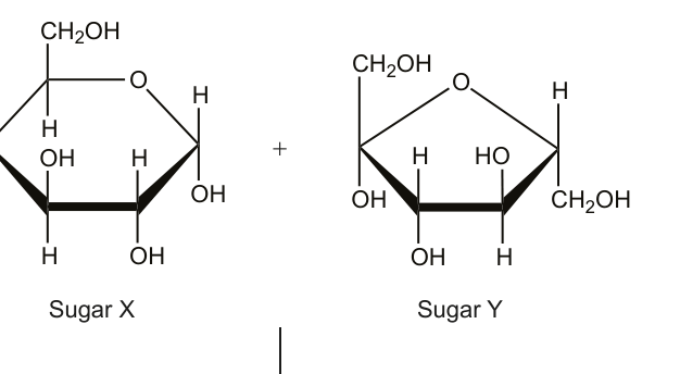 Figure region page 6