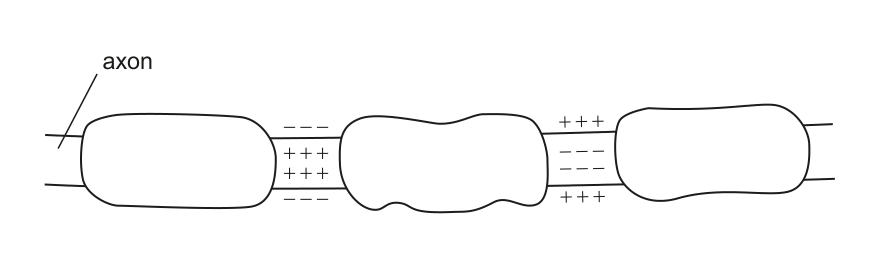 Figure region page 15