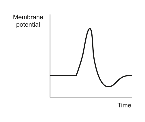 Figure region page 16