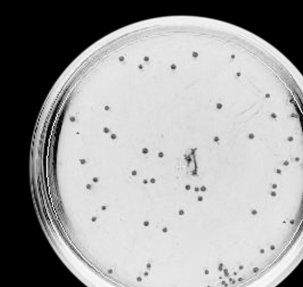 Embedded figure page 5