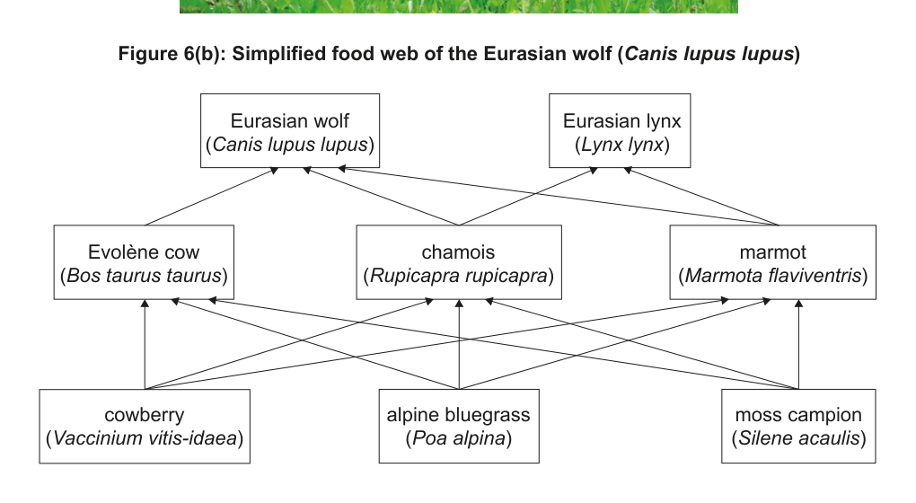 Figure region page 10