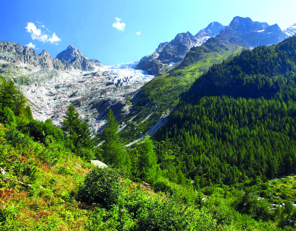 Embedded figure page 8