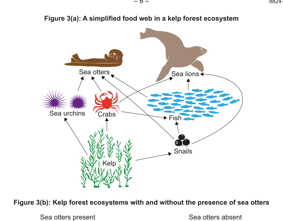 Figure region page 7